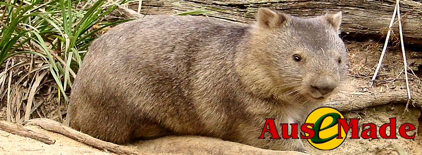 Ausemade Facebook - Wombat