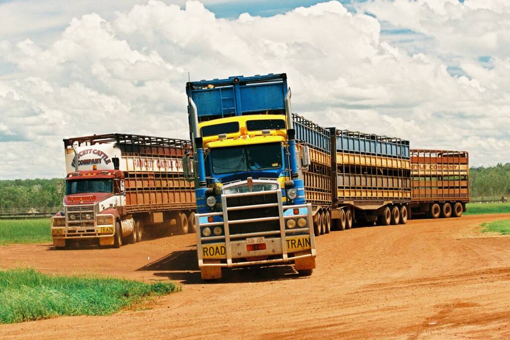 Road Trains (cattle), Central Australia © Hans Boessum