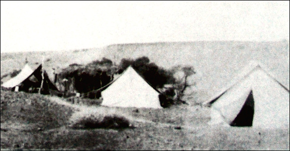 Surveyors' camp at Dalhousie Springs, 1900.