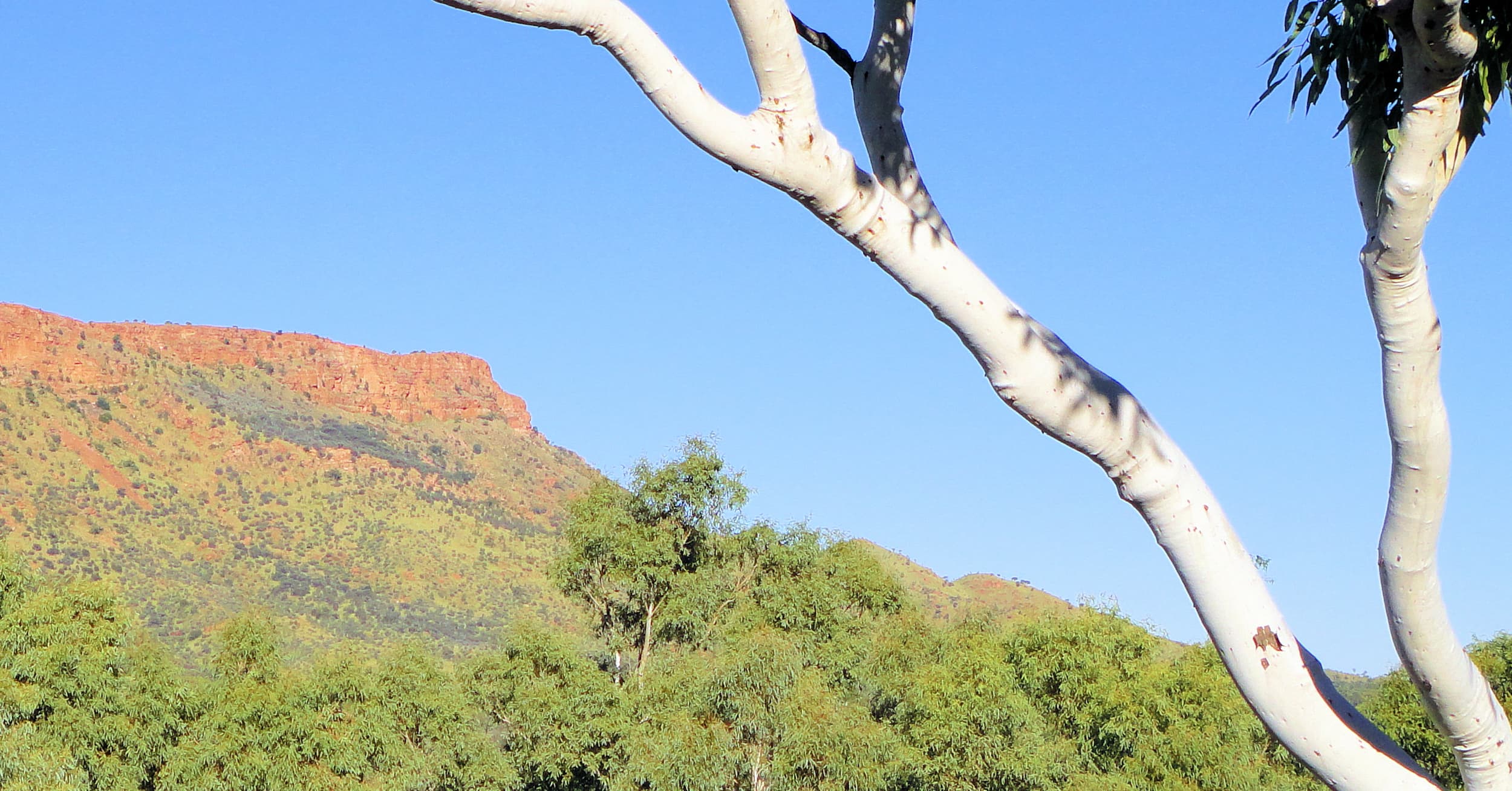 Mount Gillen, Alice Springs, NT, Australia