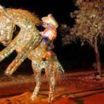 Parrtjima 2019 Festival - The Language of Kin / Angkentye Anpernirrentye-Kerte