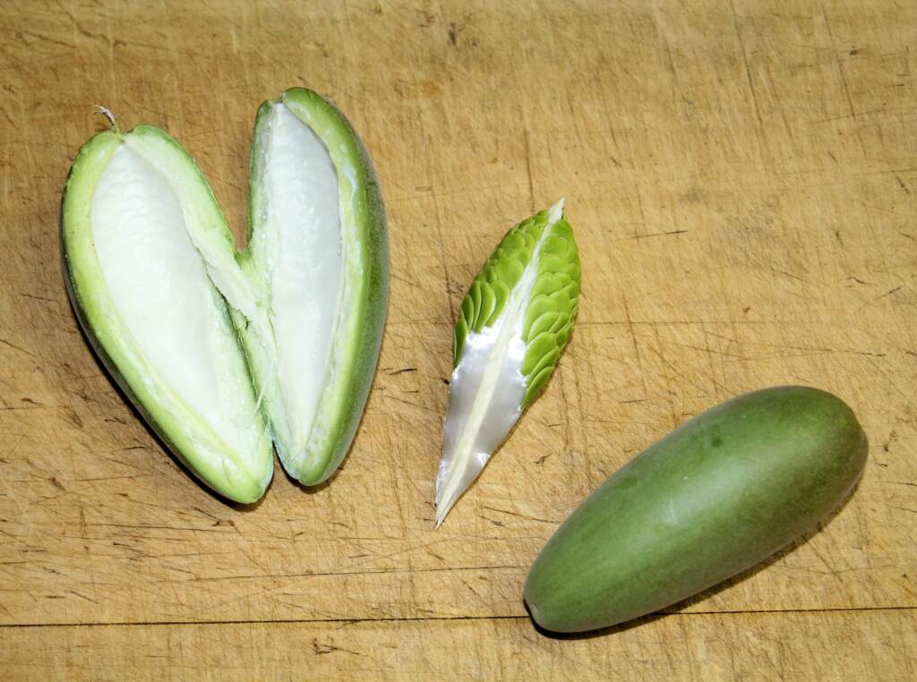 Bush banana fruit