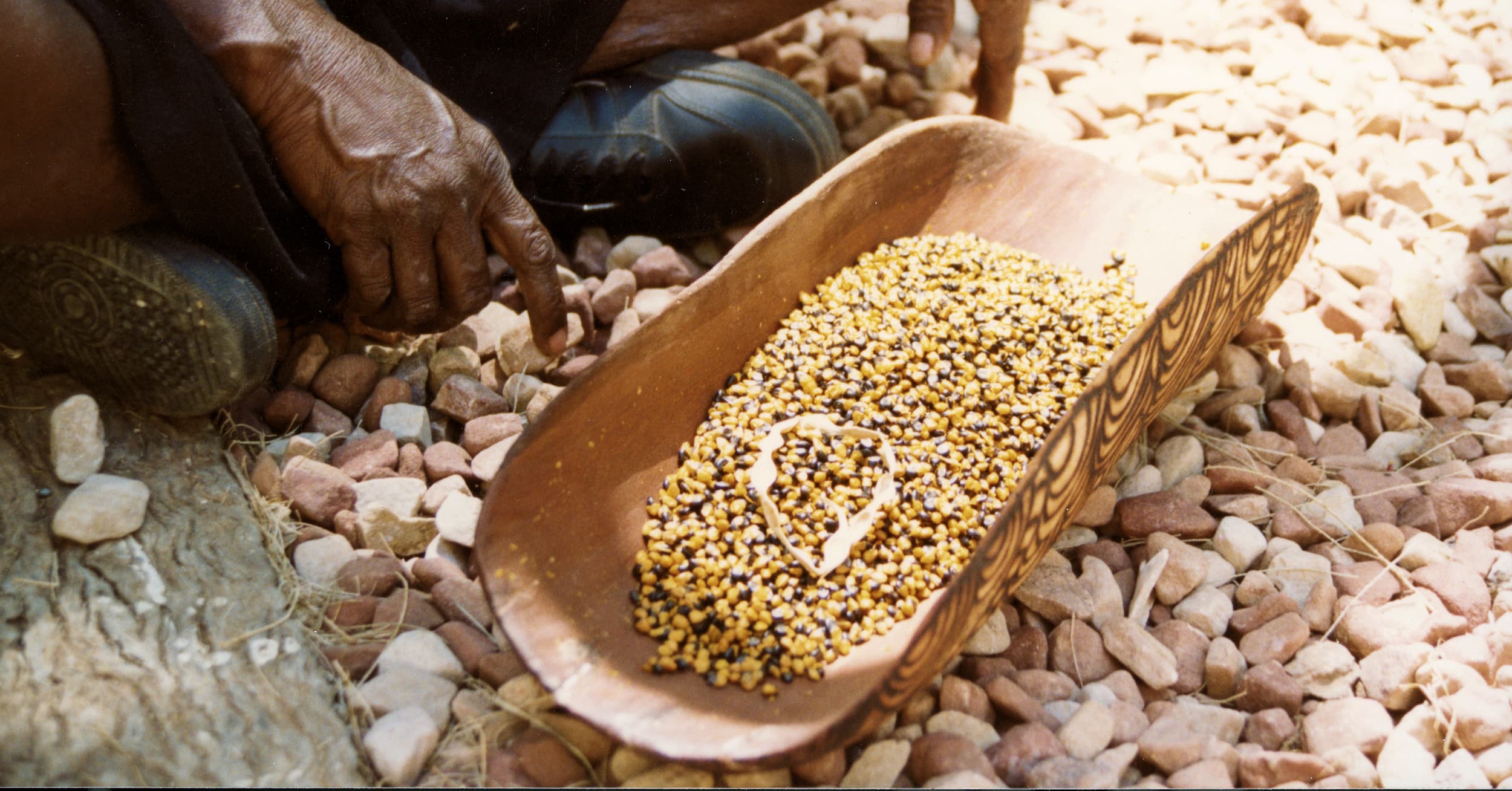 Coolamon with seeds © Gallery Gondwana