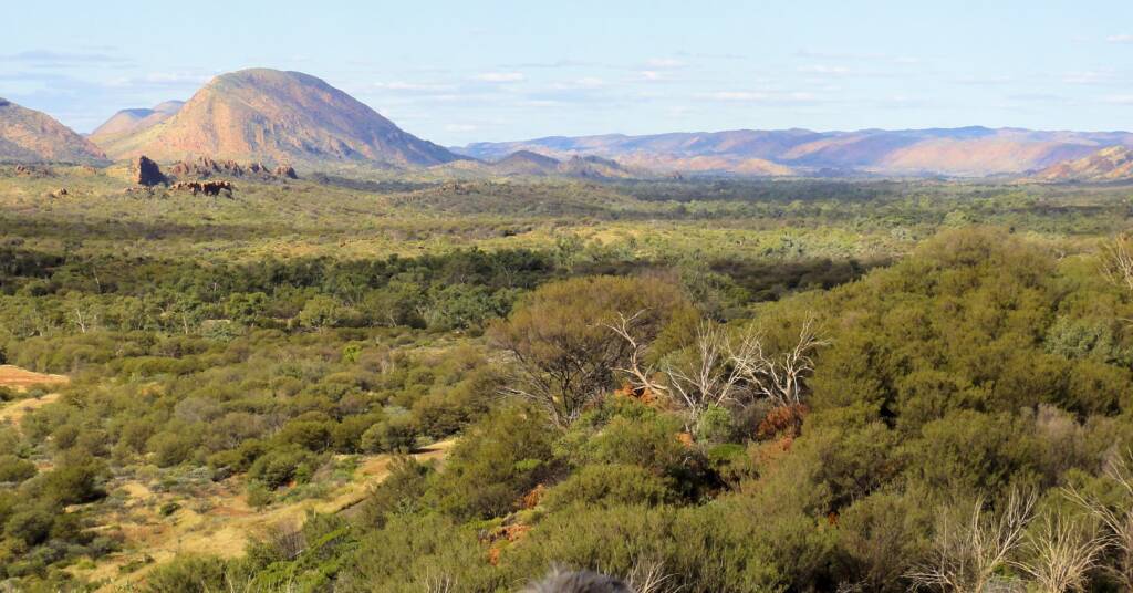 View from the Neil Hargrave Lookout