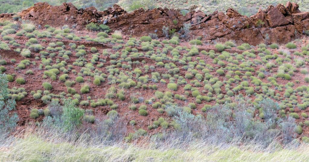 View of surrounding landscape from Neil Hargrave Lookout
