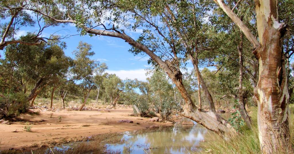 Redbank Gorge, West MacDonnell Ranges, NT