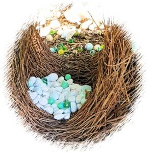 Collected treasures in the bower of a Western Bowerbird