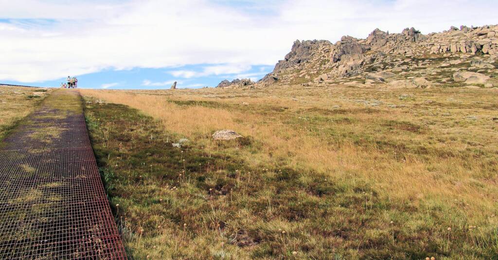 Mount Kosciuszko, NSW