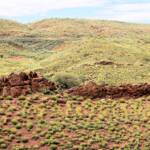 Hummock grassland - Spinifex / Triodia, West MacDonnell Ranges, NT