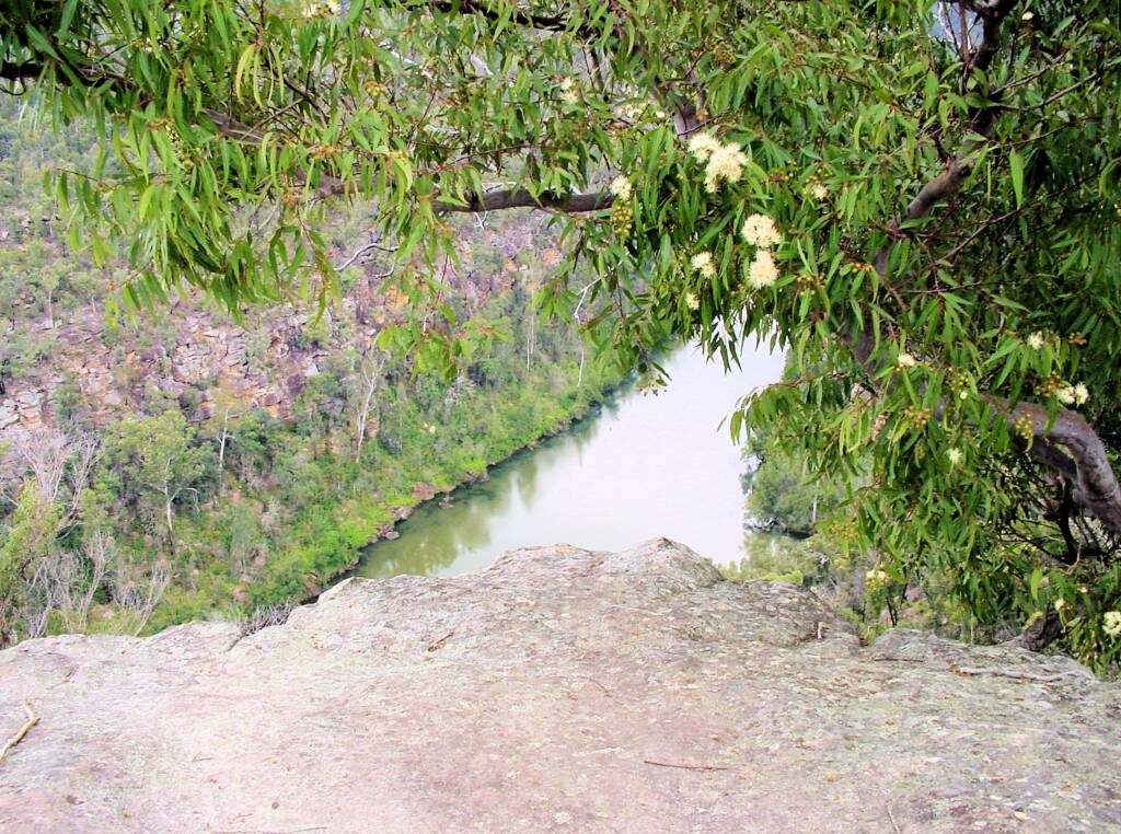 View from Jack Evans Track, Blue Mountains, NSW