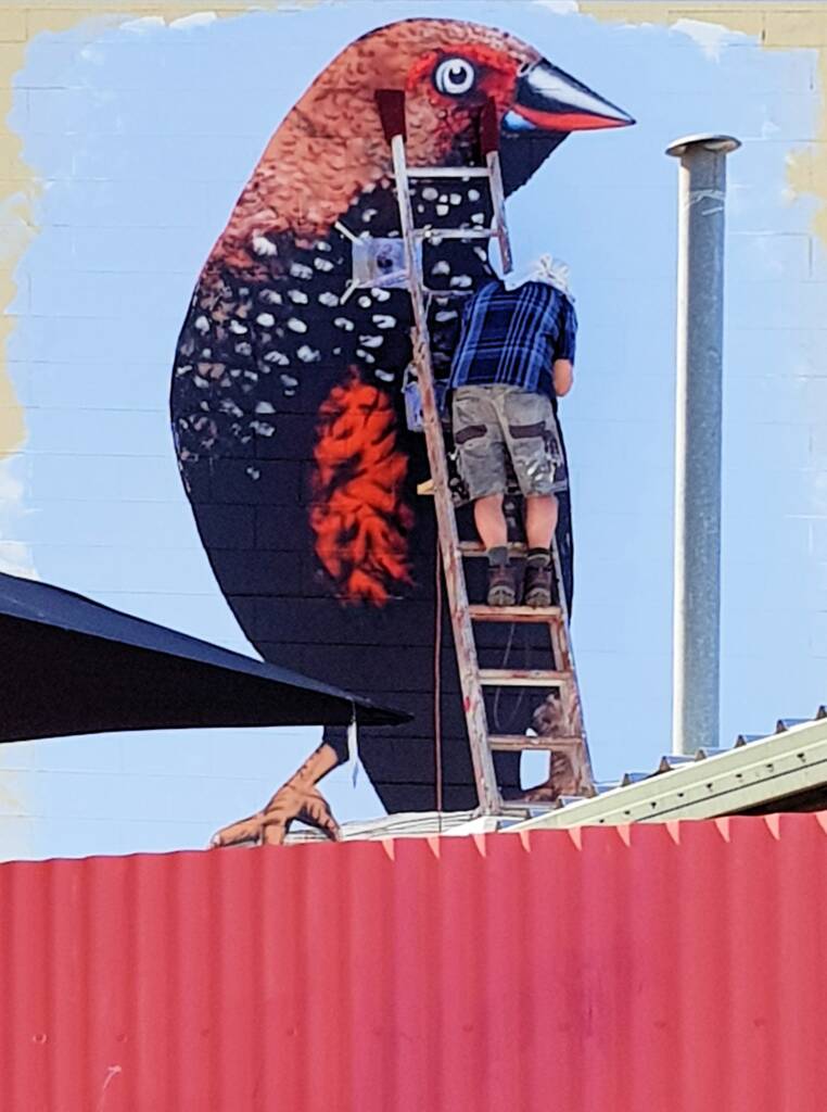 Alice Springs Street Art