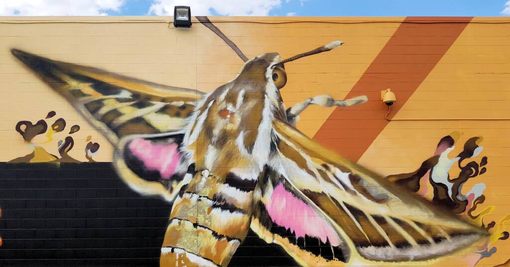 Alice Springs Street Art