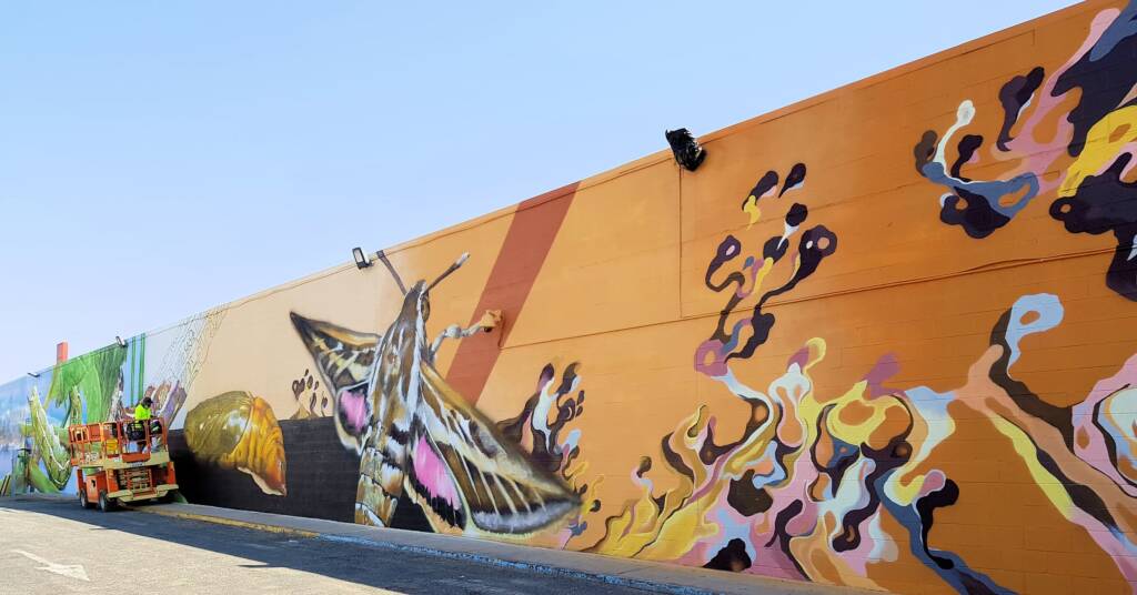 Alice Springs Street Art
