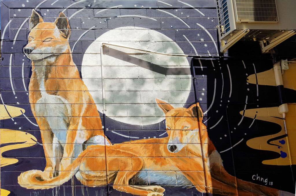 Alice Springs Street Art