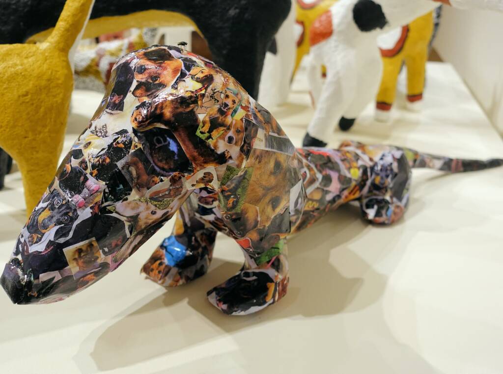 Big Mob of Dogs, 2018