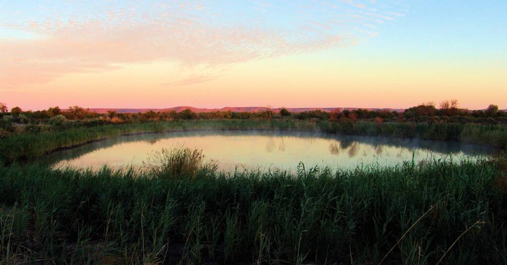 Early morning over Rainbow Serpent Spring, Dalhousie Springs