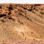Goanna at Kanku–Breakaways Conservation Park