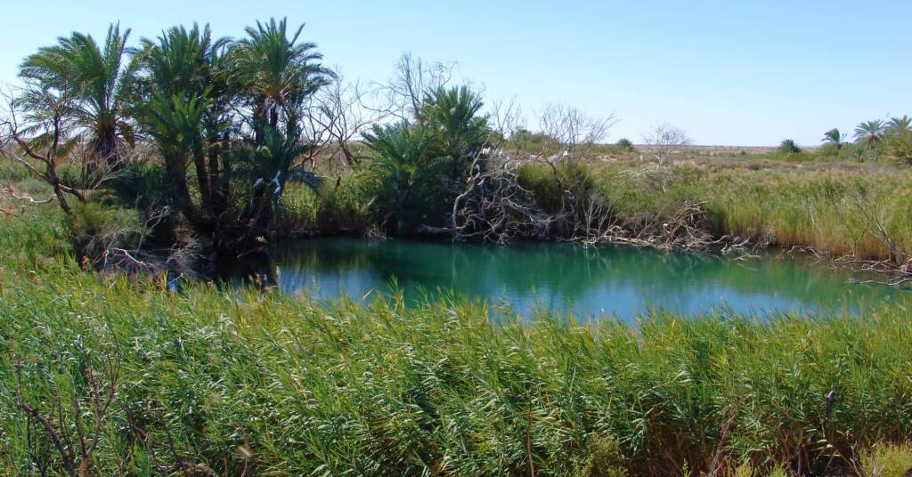 Idnjundura Kingfisher Spring