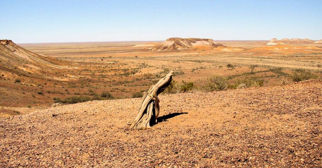 Kanku–Breakaways Conservation Park