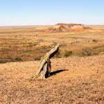 Kanku–Breakaways Conservation Park