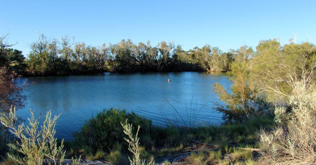 Main pool, Irrwanyere (healing waters) Dalhousie Springs
