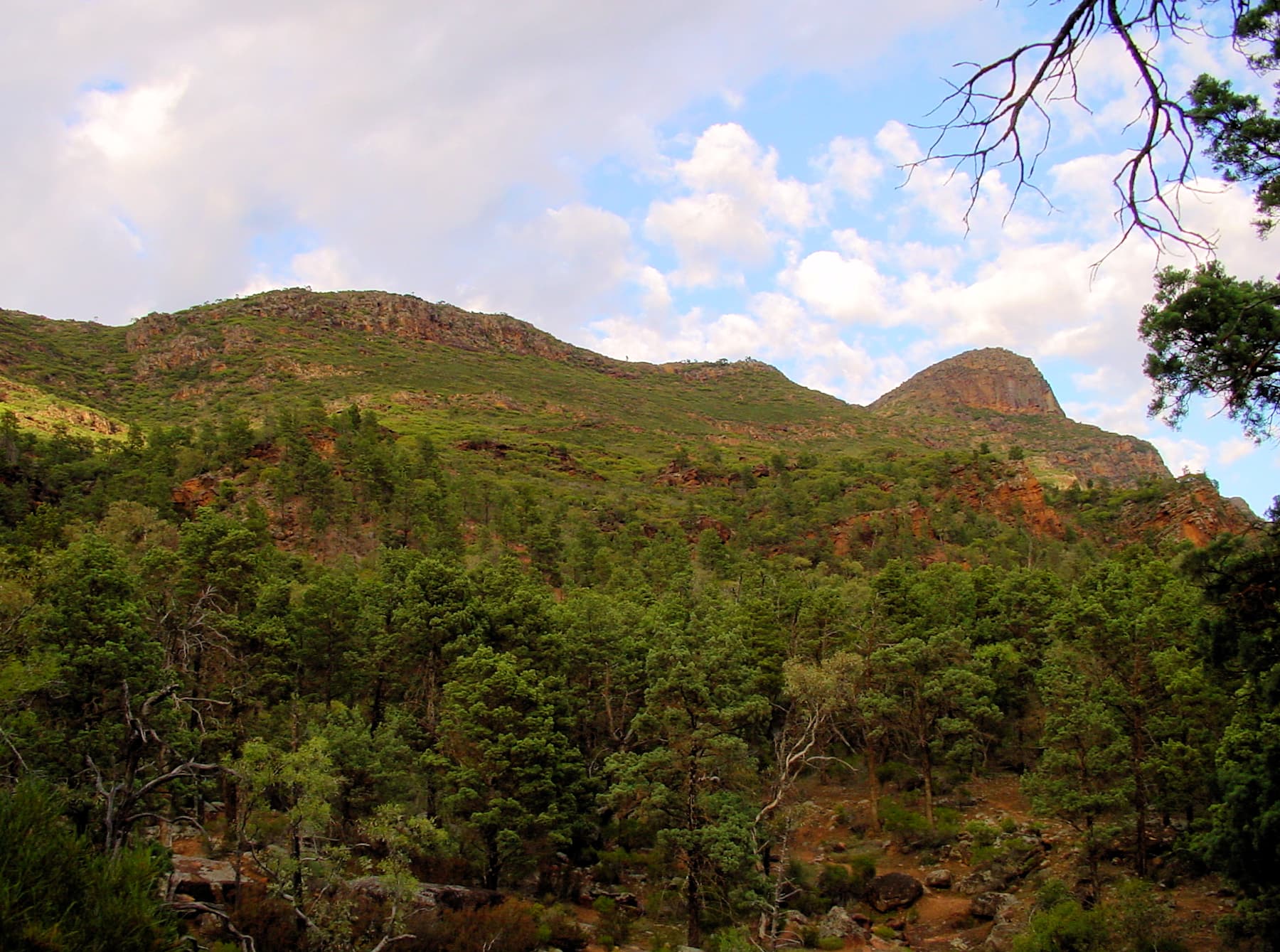 View up to St Mary Peak, Wilpena Pound, SA