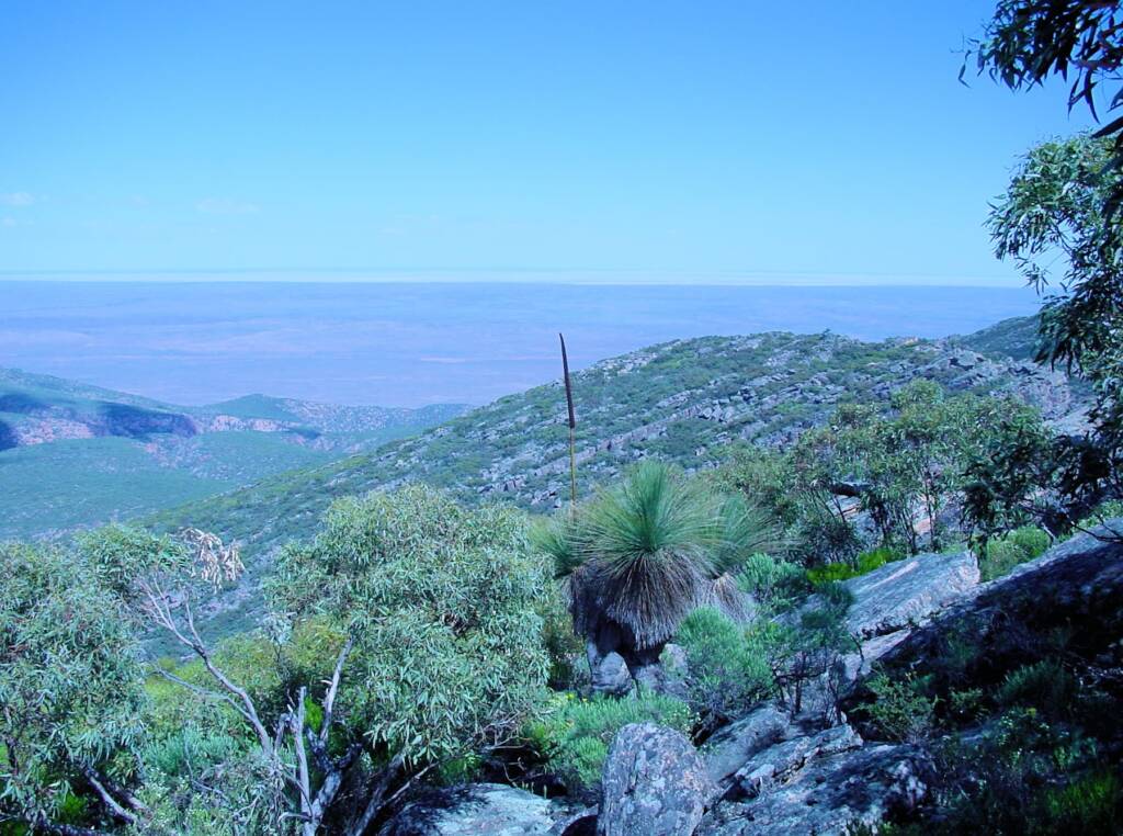 View from St Mary Peak, Wilpena Pound, SA