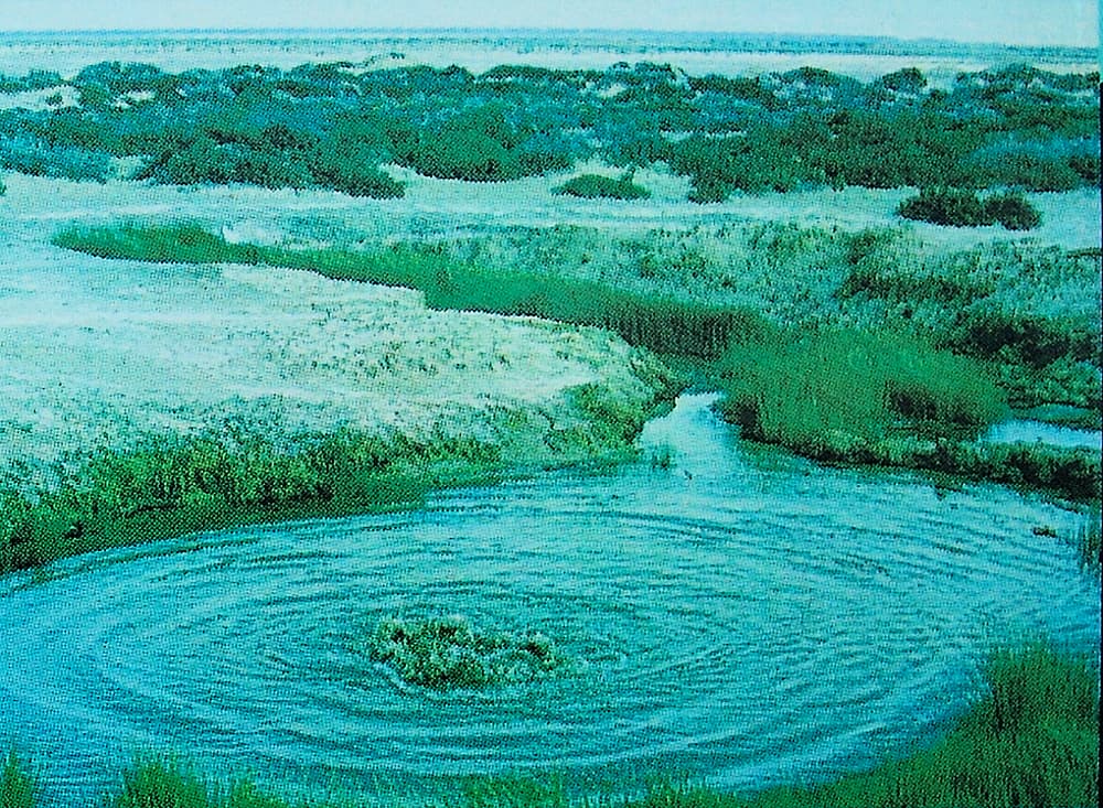 'The Bubbler' mound spring (from Dalhousie Springs signage)