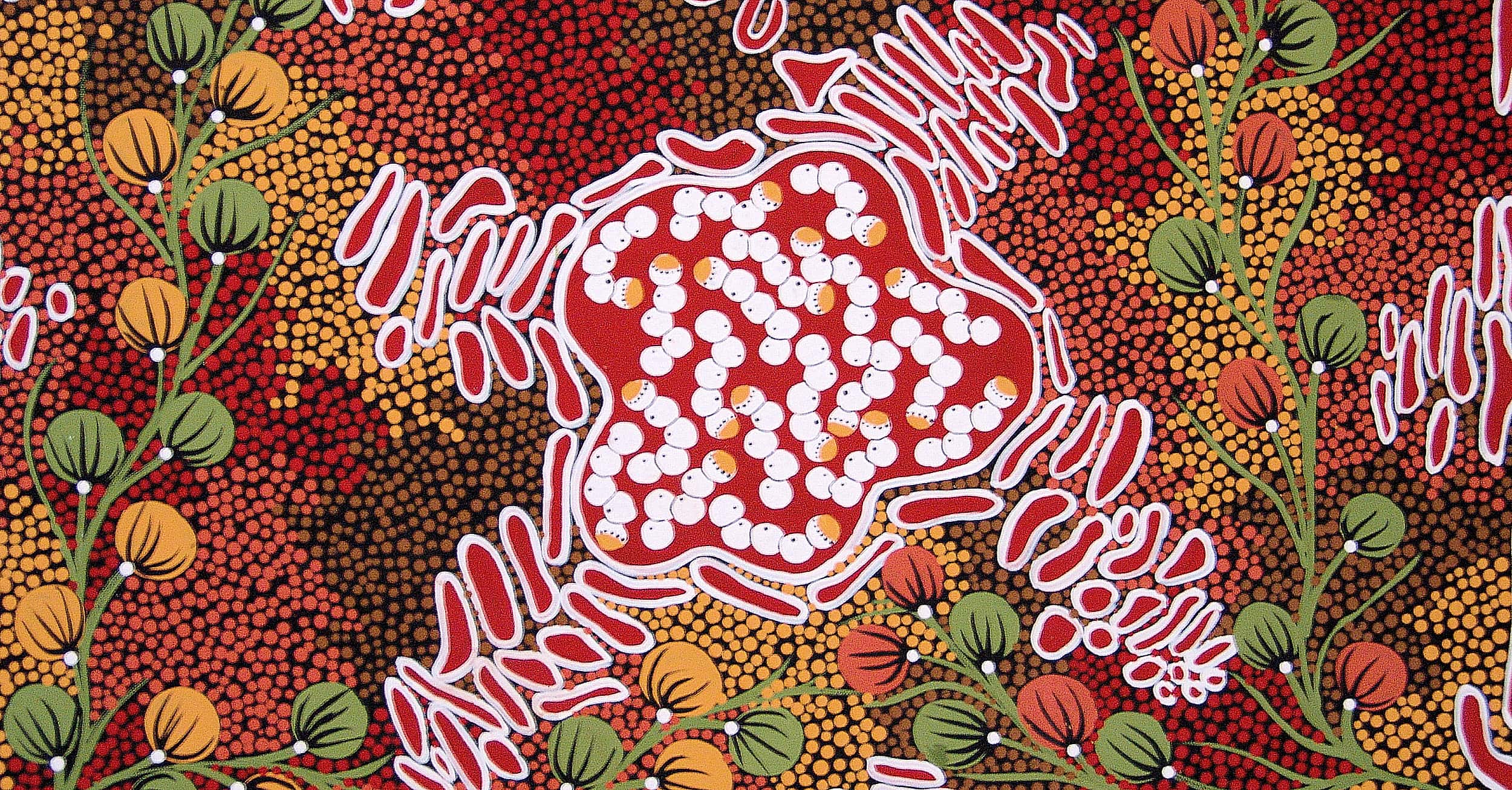 Witchetty grubs © Trephina Sultan