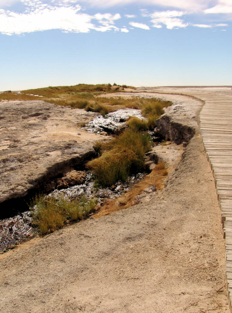 Walkway - Wabma Kadarbu Conservation Park