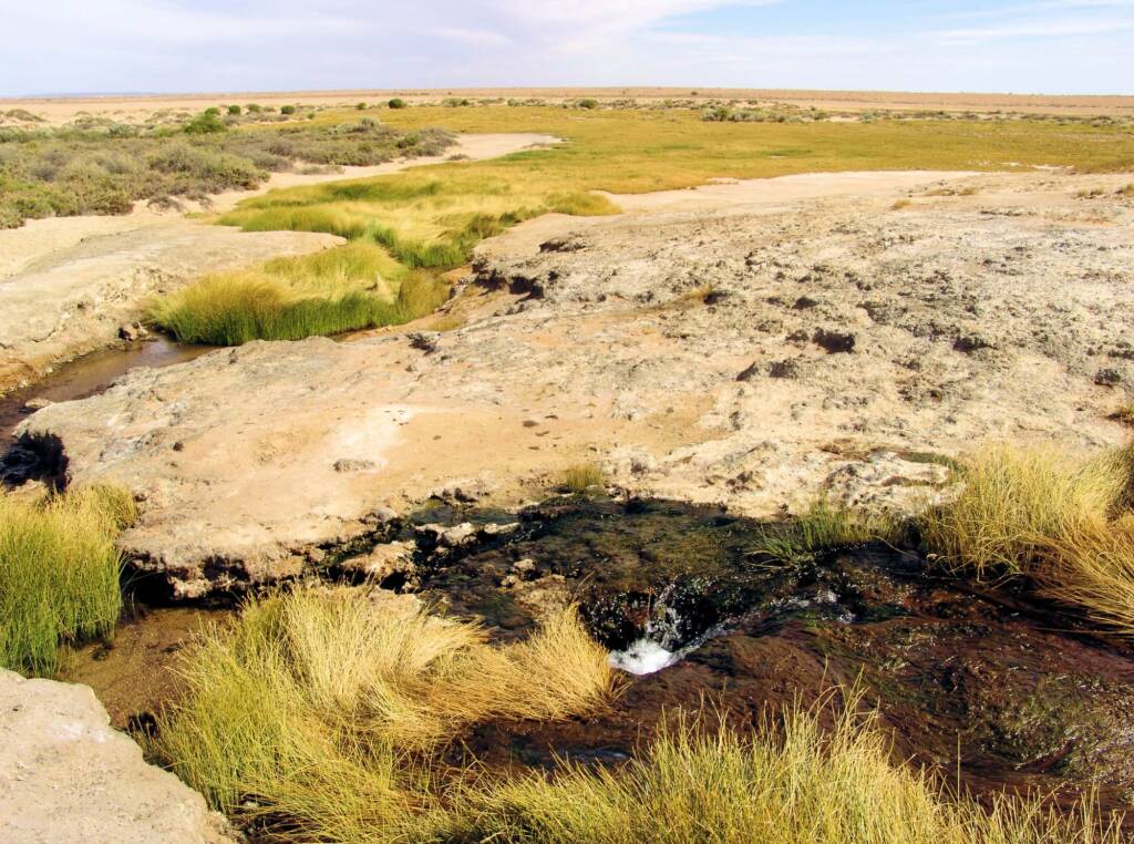 Runoff from the mound springs forming a wetland environment, Wabma Kadarbu Mound Springs CP