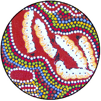 Witchetty grubs © Audrey Rubuntja