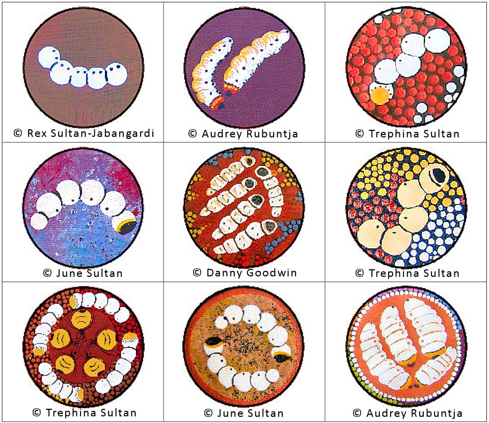 Witchetty grubs - Aboriginal Symbols, Icons and Imagery