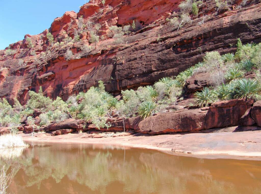 After the rain at Finke Gorge National Park, 2007