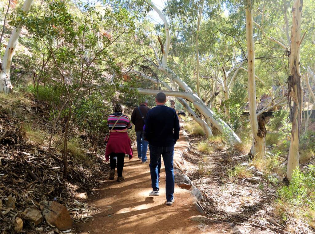 Walking trail at Angkerle Atwatye (Standley Chasm), NT