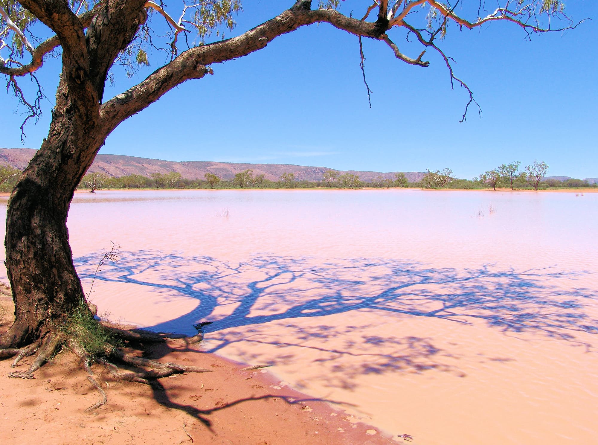 Ilparpa Claypans (Ilparpa Valley), Alice Springs, NT