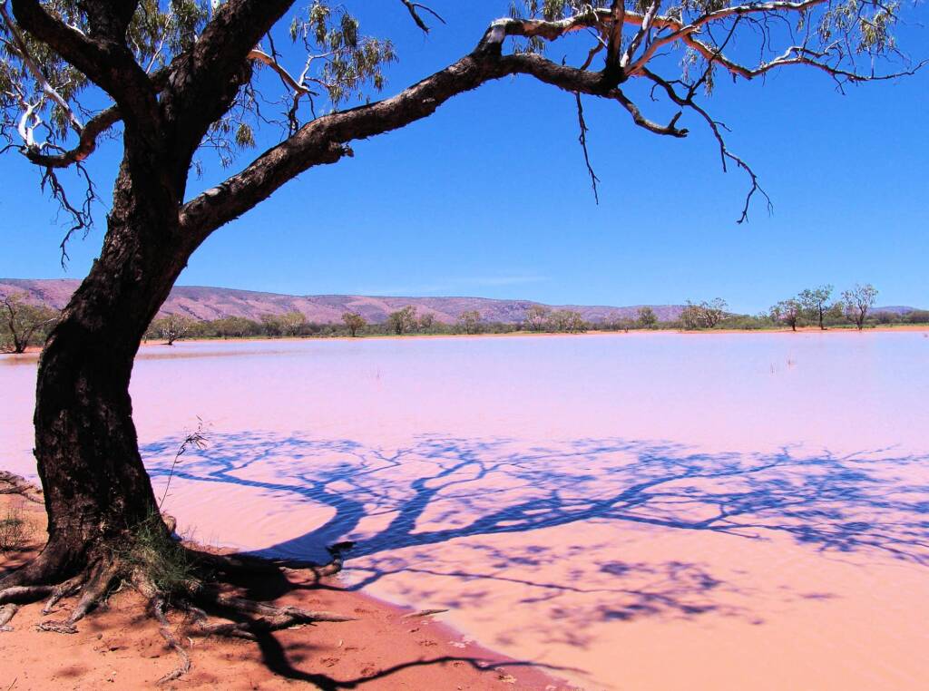 Ilparpa Claypans (Ilparpa Valley), Alice Springs, NT