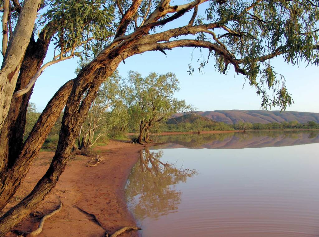 Ilparpa Claypans (Ilparpa Valley), Alice Springs, NT
