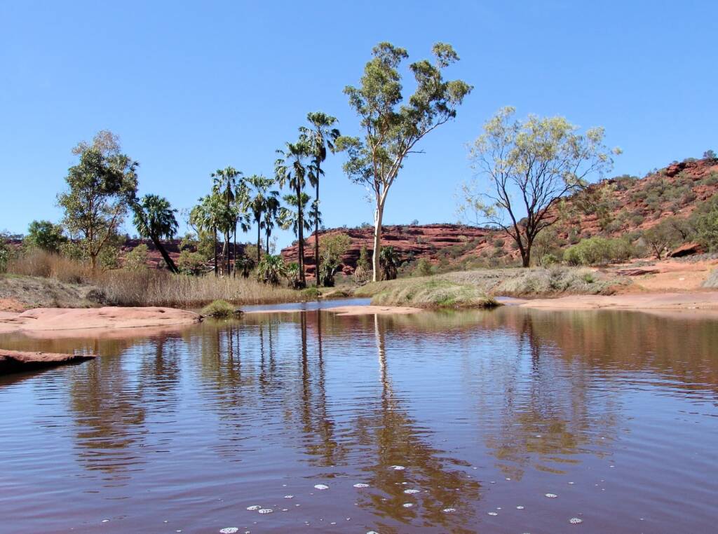 Palm Valley, Finke Gorge National Park, 2007