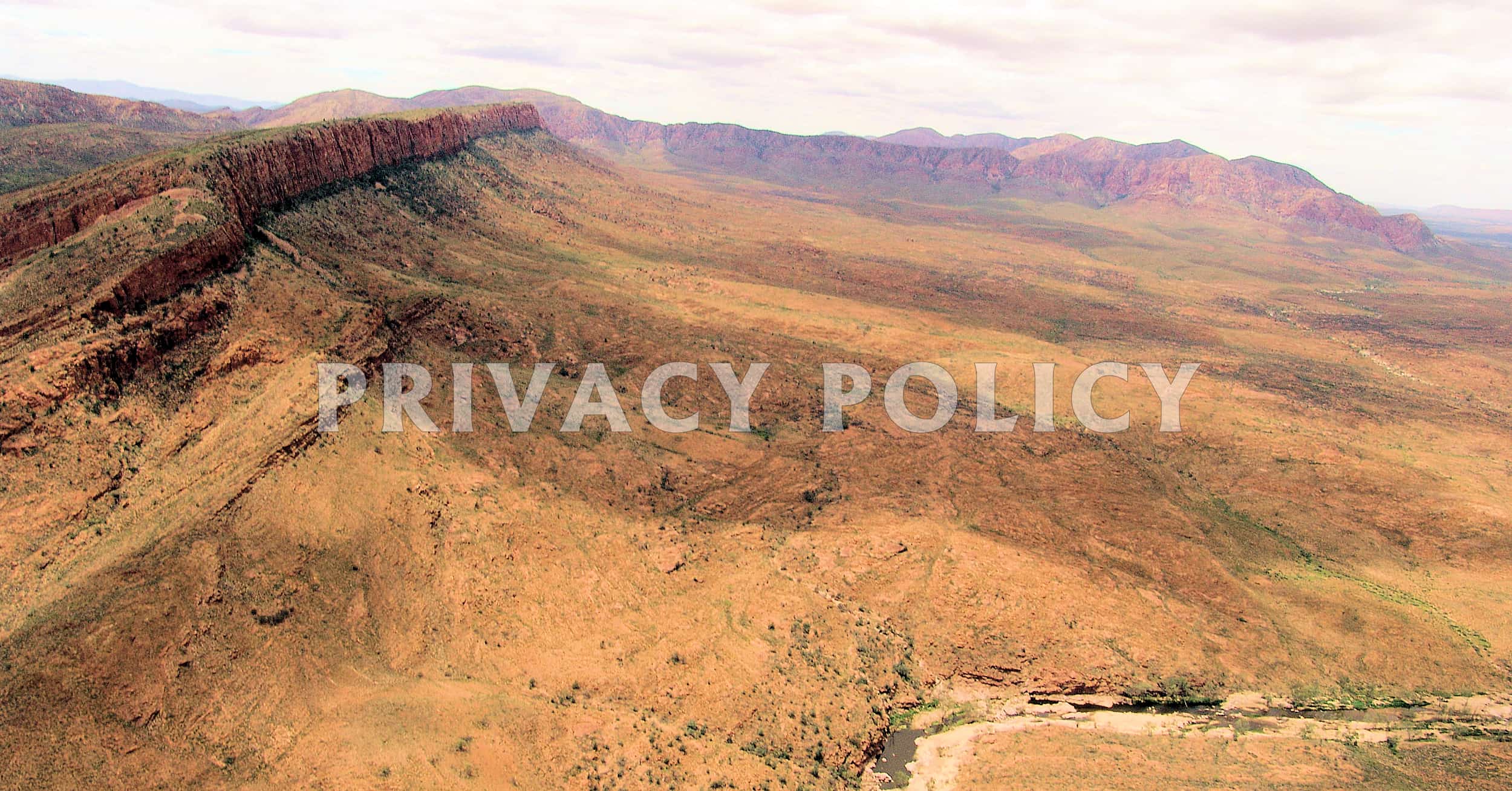 Privacy Policy