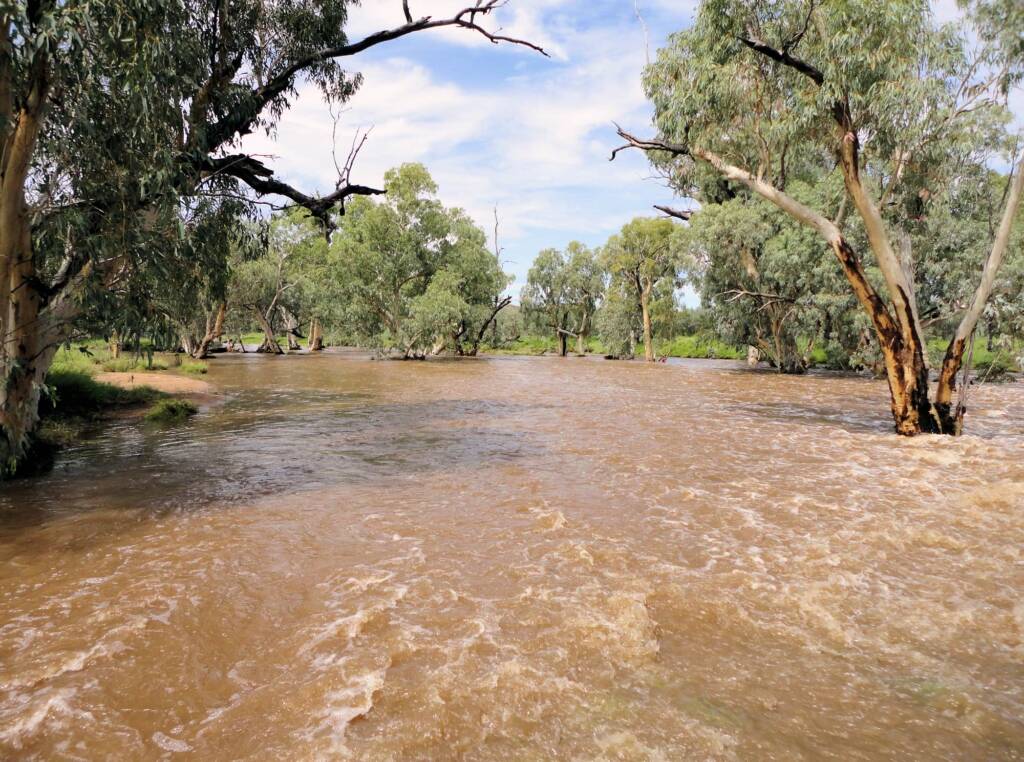 Roe Creek, Alice Springs, 19 Mar 2011