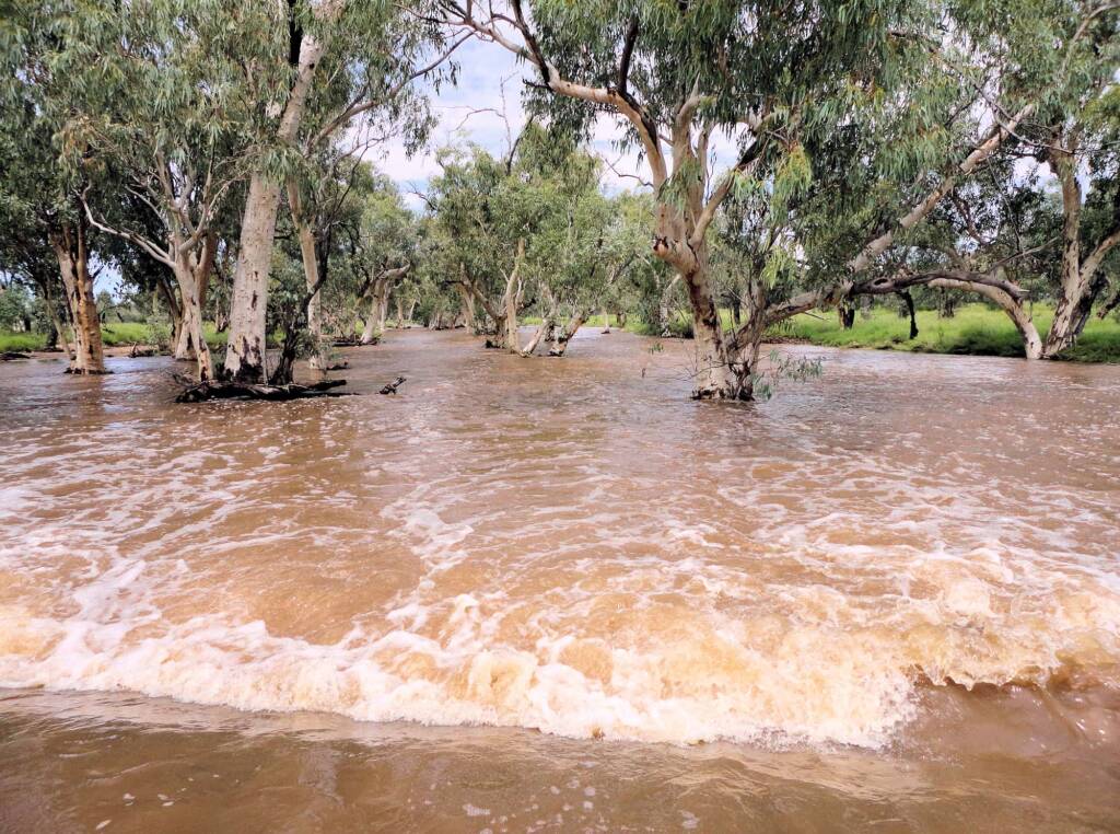 Roe Creek flowing over Darken Road, Simpsons Gap, 19 Mar 2011