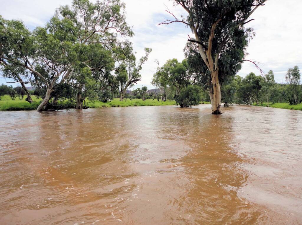 Roe Creek, Simpsons Gap, 19 Mar 2011