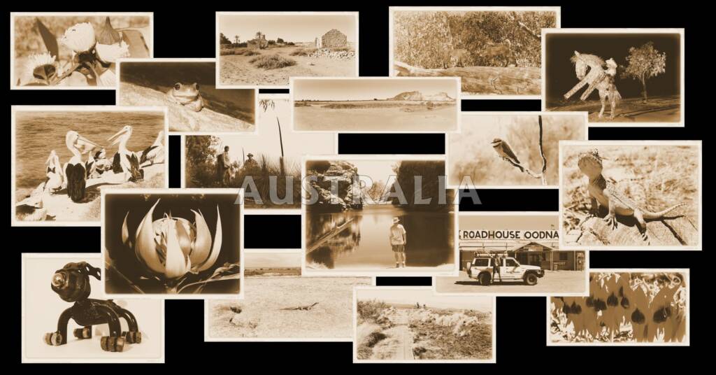 Snapshots from Australia