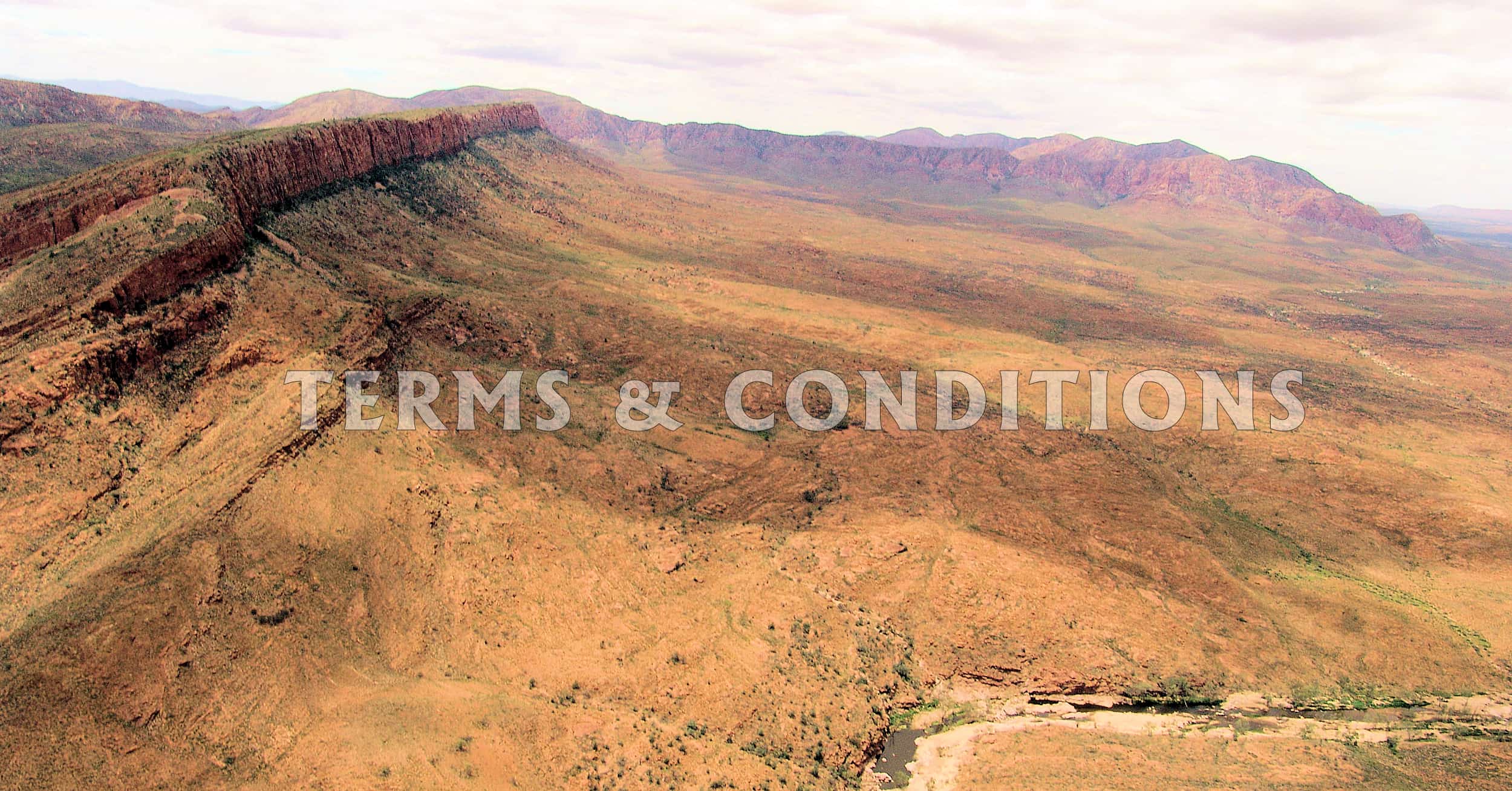Terms & Conditions