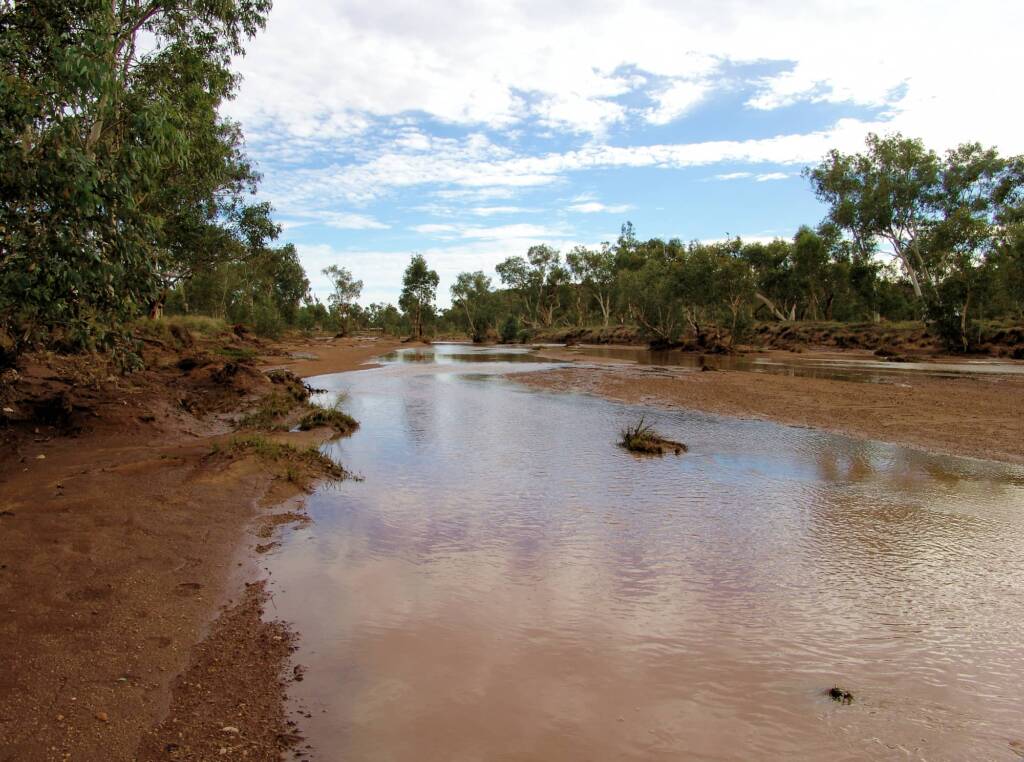 Todd River 2007, Alice Springs, NT