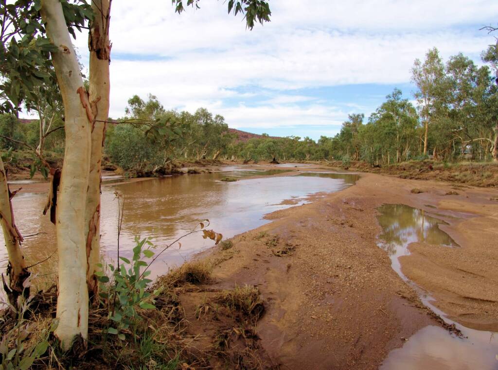 Todd River 2007, Alice Springs, NT