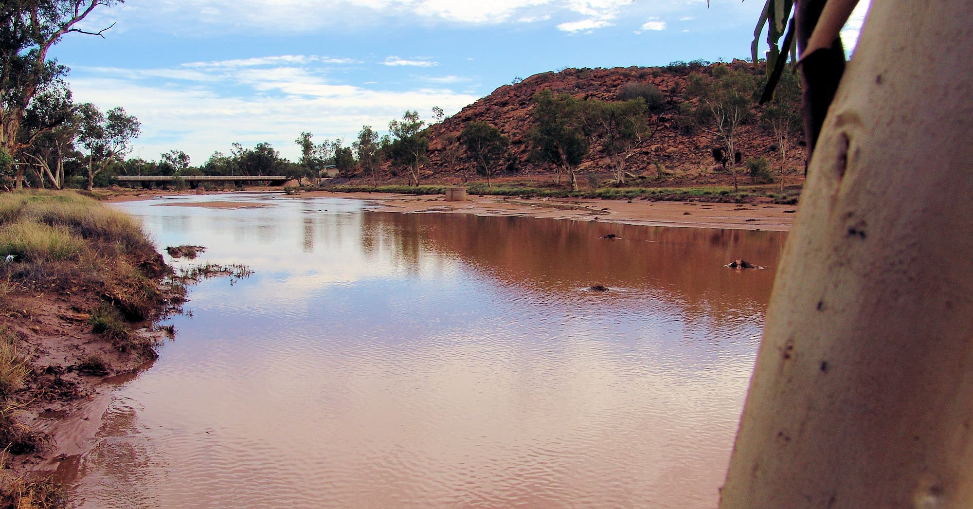Todd River 2007, Alice Springs, NT
