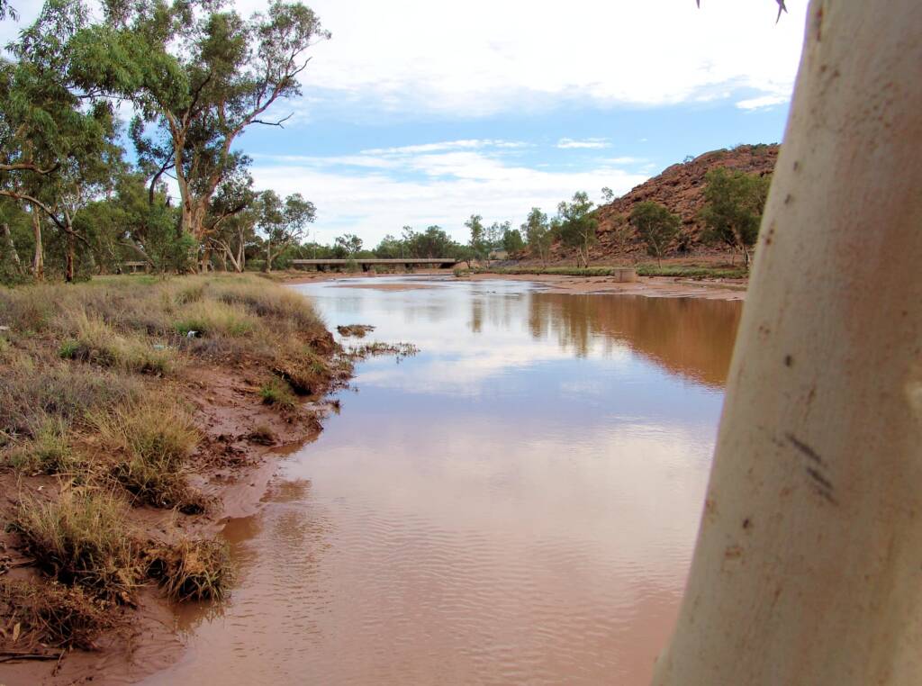 Todd River 2007, Alice Springs, NT