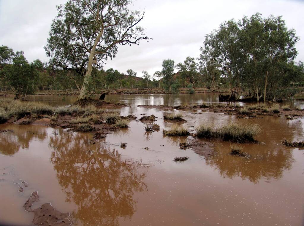 Todd River from the north side of Tuncks Road, Alice Springs, 8 Jan 2010